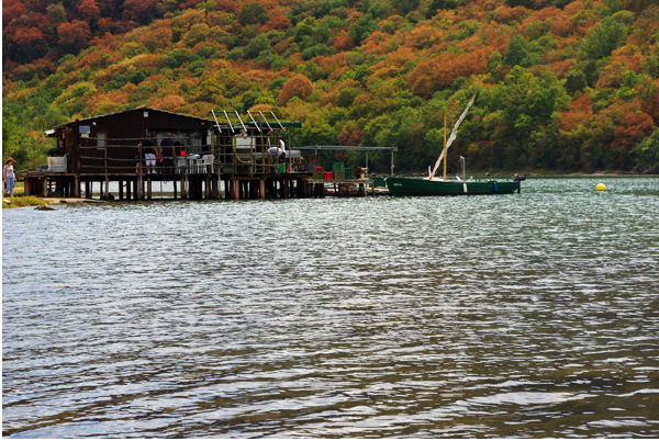 El restaurante Viking Lim Fjord en Istria