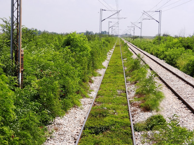 De Belgrado a Zagreb: la "vía verde" electrificada internacional